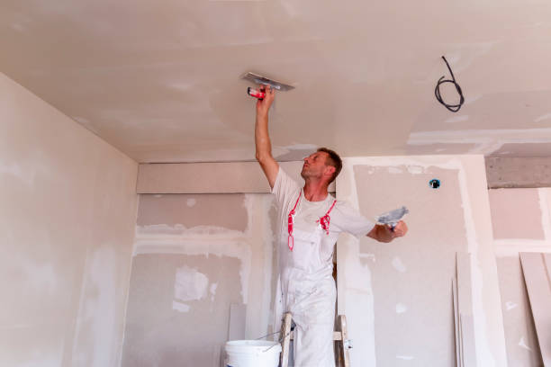 Best Drywall Crack Repair  in Mount Arlington, NJ